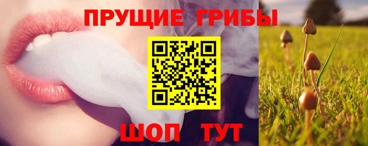 Арзамас  как найти закладки  Вход с VPN  Псилоцибиновые грибы Psilocybe  Псилоцибиновые грибы Magic Shrooms 